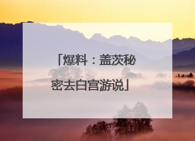 爆料：盖茨秘密去白宫游说